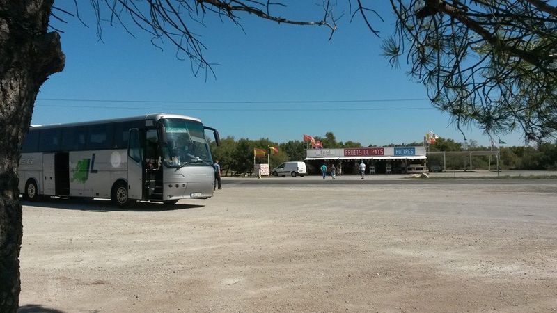 10649905_705559939537339_3025144599064152061_n